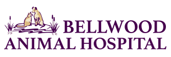 Link to Homepage of Bellwood Animal Hospital