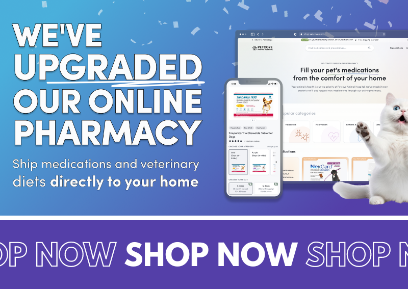 Carousel Slide 3: We've Upgraded our Online Pharmacy